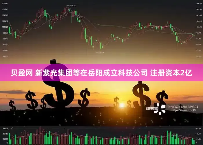 贝盈网 新紫光集团等在岳阳成立科技公司 注册资本2亿