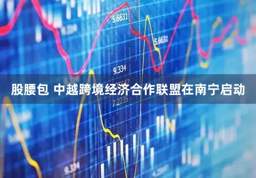股腰包 中越跨境经济合作联盟在南宁启动